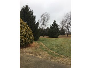 6 Acres with mobile home, 54' x 88' heated and insulated pole building with office, equipment storage, shop, overhead storage and restroom.  Well and 2 septic systems.  24' x 40' livestock or storage building.

Great for mini-farm or additional storage and shop for local farmers.  Excellent potential building site. - 6 Acres with Mobile Home, Pole Building & Storage or Livestock Building